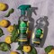 Seventh Generation Yuzu Basil Hand Dish Liquid, 19 Fluid Ounce, 6PK 69749633 - alternate 8