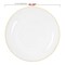 Smarty Had A Party 10.25" Clear with Gold Rim Organic Round Plastic Dinner Plates, 120PK 930CLG-CASE - alternate 8