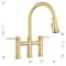 Blanco Empressa Bridge Pull-Down Faucet 1.5 GPM, Satin Gold 442981 - alternate 8