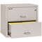 Fireking 2 Drawer, 1 Hr Fire & Impact Rated, 31" Wide Lateral Platinum 2-3122-CPL - alternate 4
