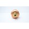 Hoffman STAINLESS BRASS FITTED STRAIGHT WATER VENT 1/2IN X 3/4IN NPT 79 401488 - alternate 8