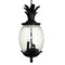 Homeroots Clear and Black Three Light Pineapple Outdoor Hanging Pendent Light 398015 - alternate 5