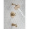 Delta Saylor Monitor 17 Series Tub & Shower Trim T17435-CZ - alternate 7