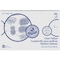 Pacon Ruled Chart Tablet, White PAC74630 - alternate 1