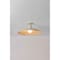 Hudson Valley Lighting Teelin 20 in. Flush Mount Limewash Plaster 4320-LWP - alternate 7