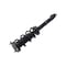 Fcs Struts Suspension Strut And Coil Spring Assembly 1355176R - alternate 5