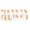 Cmt 13-PIECE ROUTER BIT SET S=1/2in 800.505.11 - alternate 3