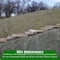 Farm Plastic Supply Jute Erosion Control Cloth, 4ftx225ft, Soil Saver Mesh Blanket, Jute Netting Z-Jute-4001 - alternate 6