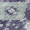 Homeroots 8' Purple Eggplant And Sage Round Medallion Washable Indoor Outdoor Area Rug 589016 - alternate 6