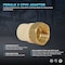 Everflow FIPxPVC Adapter Pipe Fitting 1-1/2" BRCPF112-NL - alternate 3