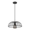 Z-Lite Valencia Matte Black 1 Light Pendant 623P16-MB - alternate 8