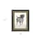 Homeroots Canine Gaze Brown Framed Print Wall Art 527038 - alternate 3