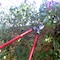 Corona Tools Bypass Lopper, 25 in., 1-1/2 in. Cut Capacity SL 3310 - alternate 4