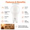 Euri Lighting A19 LED Bulb, 9W, 810 lm, 60W Eq., 2700K, GU24, CEC, JA8, Title 24, UL EA19-9W5020CG - alternate 6