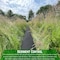 Farm Plastic Supply Erosion Control Silt Sock Pallet - 8in. x 20FT - Sediment Filter for Stormwater Drainage, 8 Rolls Z-Silt-4003 - alternate 7