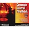 Meecos Red Devil Creosote Control FireBrick 2-1/2 Lb. Block Creosote Remover 1004 - alternate 1