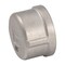 Proline Series Stainless Steel 304 3/4-in FIP Cap SF-868 - alternate 1