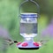 Perky-Pet Hummingbird 16 oz Glass Top-Fill Nectar Bird Feeder 5 ports 9101-2 - alternate 5