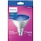 Signify 100W Equivalent Blue PAR38 Medium LED Floodlight Light Bulb 568261 - alternate 3