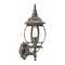 Homeroots Dark Brown Glass Globe Wall Light 398573 - alternate 5