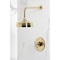 Kingston Brass Single-Handle Pressure Balanced Shower Faucet, Polished Brass KB6332AXSO - alternate 5