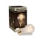 Bulbrite Incandescent A19 40 Watt Nostalgic Edison Quad Loop-style Light Bulb, Amber Glass, 4PK 861385 - alternate 4