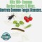 Maggies Farm 24 Oz. Ready To Use Trigger Spray Vegetable Garden Insect & Disease Control MVID024 - alternate 4