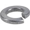 Hillman 5/16 in. D Hot-Dipped Galvanized Steel Split Lock Washer, 100PK 811053 - alternate 1