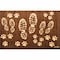 Floortex Door Mat, Nylon Fibres, 0.2 in Thick, Brown, 24 in W x 39 in L FR4WR2439BBR - alternate 1