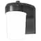 Eaton Wiring Devices Entry and Patio Light, 120 V, 11 W, LED Lamp, 652 Lumens Lumens, 5000 K Color Temp FE0650LPC - alternate 1