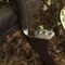 Ames Drain Spade Shovel, Tempered Steel, Comfort Step, Wood Handle, D-Grip 2531700 - alternate 5
