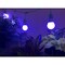 Miracle Led Keep'em Alive Plant Survival Grow Light Kit, 6.5KK Blue Spectrum, 2PK 803408 - alternate 5
