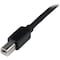 Startech.Com 20m Active USB 2.0 A to B Cable - M/M USB2HAB65AC - alternate 6