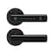 Wrightmaster 5 in 1 Corded Aluminum Smart Lock Deadbolt with APP, Biometric, Key Fob Door Lock, Handle in Black ZR-LYF-D6 - alternate 1