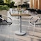 Flash Furniture Commercial All-Weather 24x30 Natural HPL Tabletop with Silver RD Base ST-REC2430-NAT-TR18S-GG - alternate 3