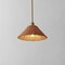 Jonathan Y Hattie 15 in. 1-Light Coastal Bohemian Metal and Woven Rattan LED Pendant Light, Gold Painting/Brown JYL5713A - alternate 11