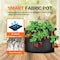 Ipower Plant Grow Bag 5 Gallon Heavy Duty Fabric Pots, 300g Thick Nonwoven, Black 2024 Version, 6PK GLGROWBAG5X6BLK - alternate 7