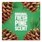 Pine-Sol Multi-Surface Cleaner Disinfectant Concentrated, Pine Scent, 14 oz Bottle, 12PK 60146CT - alternate 18