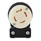 Ac Works Elbow Connector, NEMA L17-30R Female, 30A 600V 3-Phase Locking ASEL1730R - alternate 7