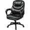 Office Star Managerial Chair Desk Chair, Fixed Arms, 19" to 22" Height, Leather, Black FL660-U6 - alternate 1