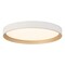 Vaxcel Darien 12-in White/Gold Contemporary Round LED Flush Mount Ceiling Light with Frosted Shade C0382 - alternate 1
