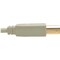 Tripp Lite USB 2.0 Hi-Speed A/B Cable M/M 28/24 AWG 480 Mbps Beige 10FT 10ft U022-010-BE - alternate 5