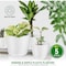 Lifemaster Eco-Friendly Plant Pot Set, Assorted Sizes, with Drainage Holes, Stackable Planters, 5PK LMFLOPWH5 - alternate 7