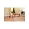 Radio Flyer Dual Deck Tricycle 2-1/2 to 5 years Steel Frame 12 x 1-1/4 in Front Wheel 7 x 1-1/2 in Rear Wheel 33 - alternate 9