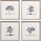 Homeroots Set Of Four Slate Trees Silver Framed Print Wall Art, 4PK 416834 - alternate 4