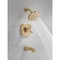 Delta Stryke 14 Series Tub and Shower, 4.22 in, Lumicoat Champagne Bronze T144766-CZ-PR - alternate 7