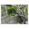 Homeroots 2' X 3' Green Abstract Washable Non Skid Indoor Outdoor Area Rug 559451 - alternate 6