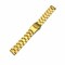 Elegani Oyster-Style Stainless Steel Replacement Band Compatible with Apple Watch 45mm, Yellow Gold SD3L-YGD-45mm - alternate 1