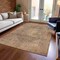 Homeroots 5' X 8' Brown And Beige Medallion Washable Indoor Outdoor Area Rug 616449 - alternate 8