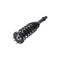 Fcs Struts Suspension Strut And Coil Spring Assembly 2335797R - alternate 5